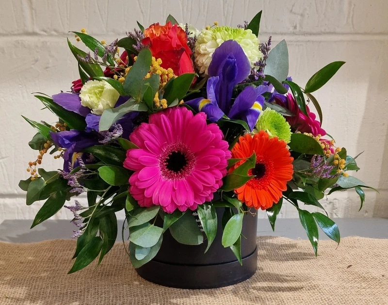 Vibrant Hatbox